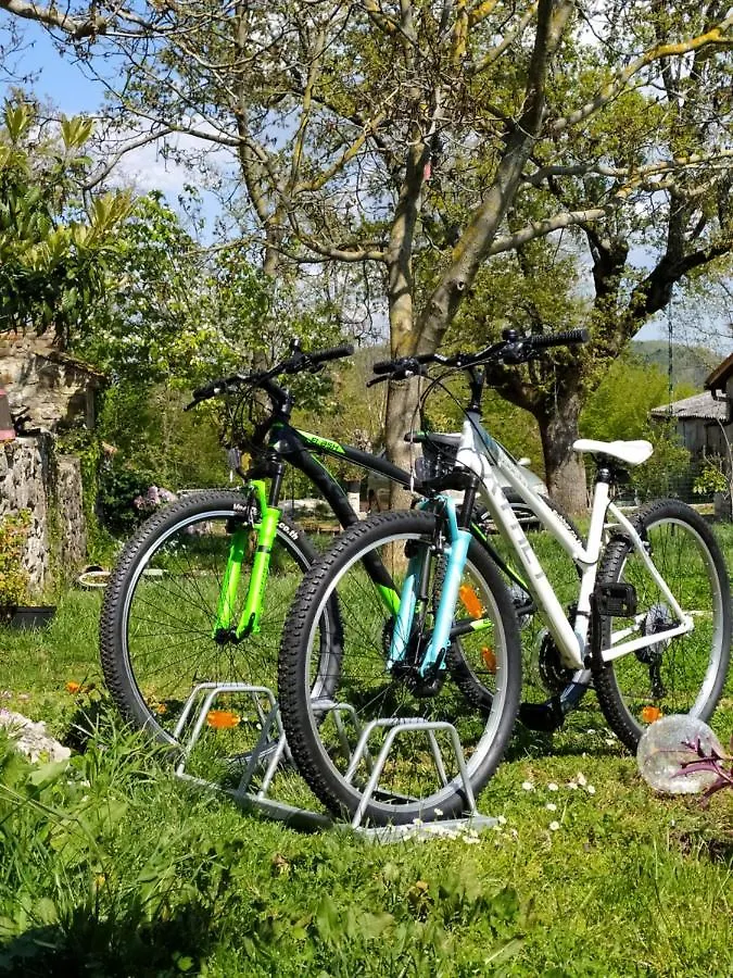 Apartment Parenzana, Little Row House With Big Green Yard In Central Istria Rakotule 0*,
