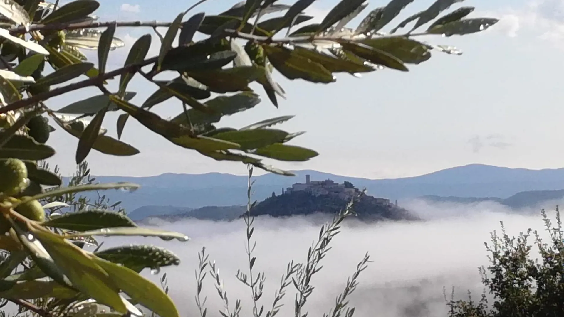 Apartment Parenzana, Little Row House With Big Green Yard In Central Istria Rakotule Croatia